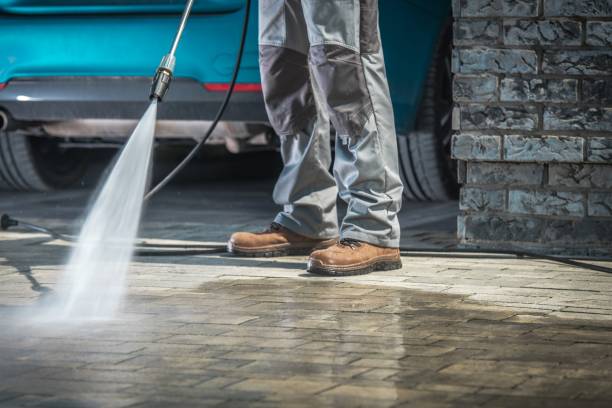 Best Patio and Deck Pressure Washing  in Lyford, TX
