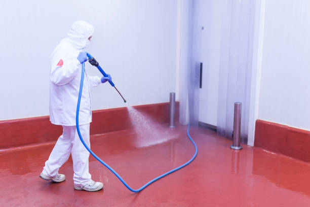 Best Concrete Sealing  in Lyford, TX
