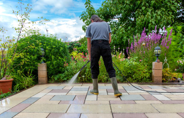 Best Winterizing Services  in Lyford, TX