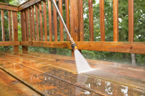 Best Solar Panel Cleaning  in Lyford, TX